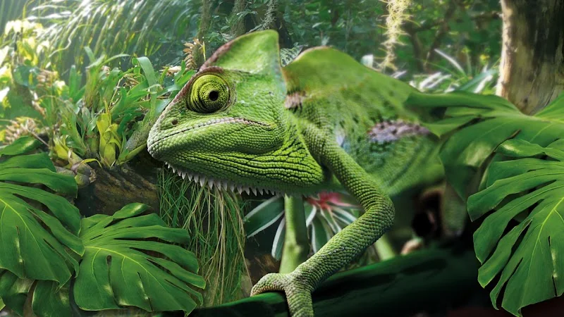 Event: Biosphäre Potsdam
