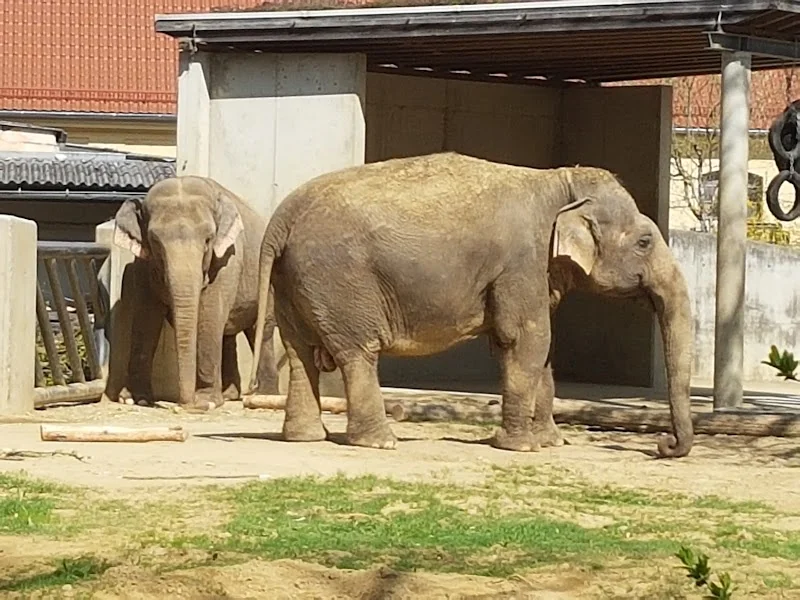 Event: Zoo Augsburg