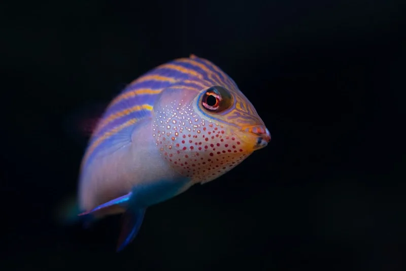 Event: Aquazoo Löbbecke Museum Dusseldorf