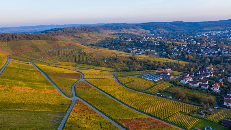 Albrecht-Kiessling Weingut