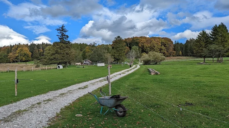 Asinella Eselfarm