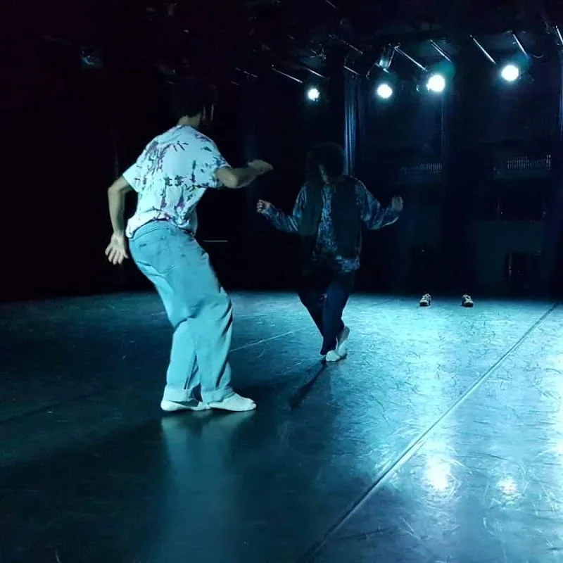 Event: DansArt TANZNETWORKS