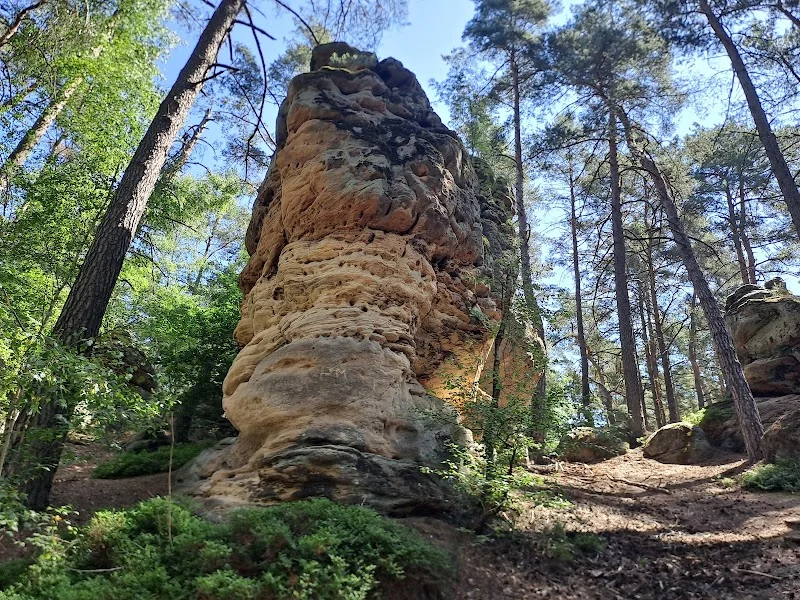 Event: Buchstein