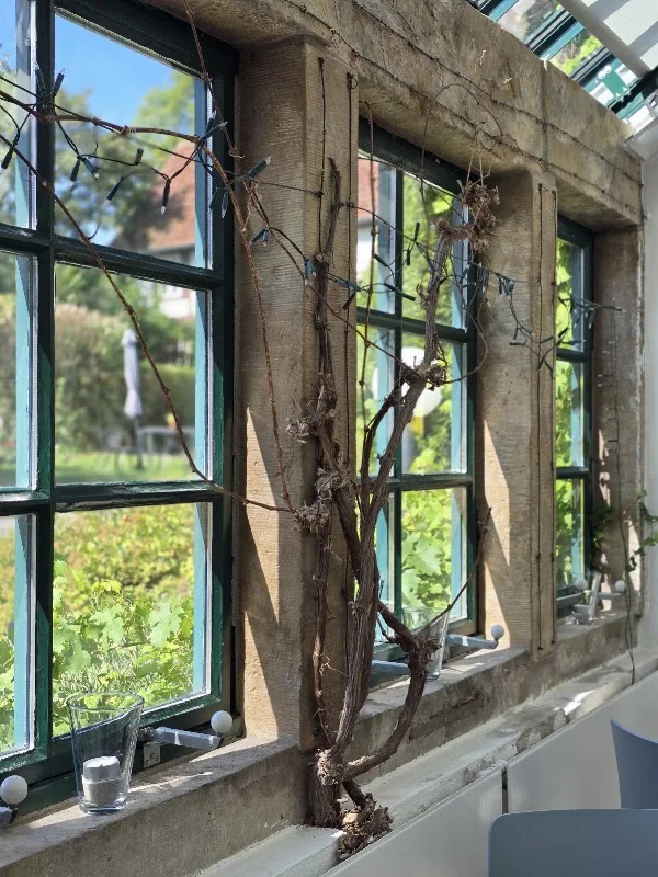 Café im Glashaus