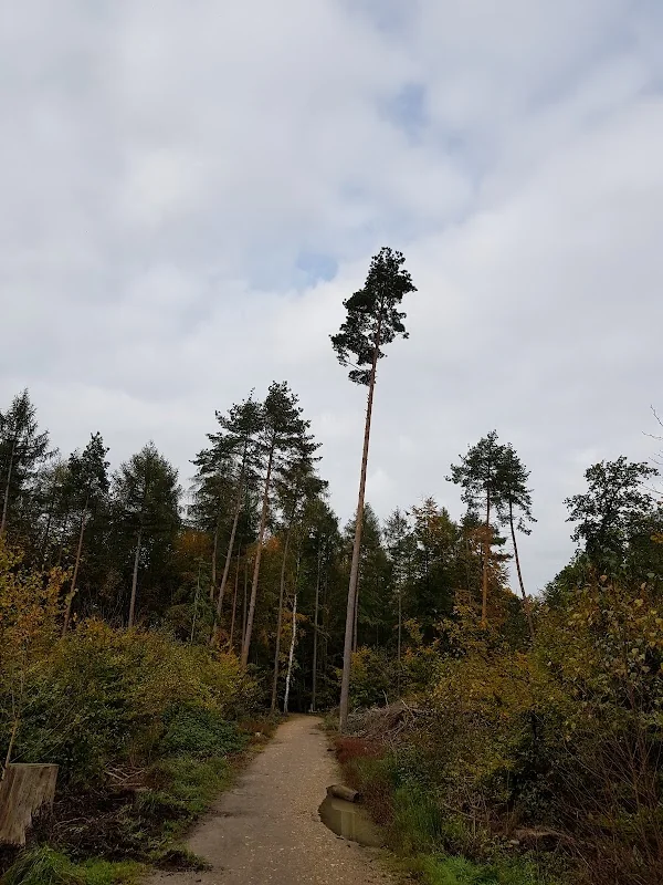 Event: Wanderparkplatz Gudenauer Weg