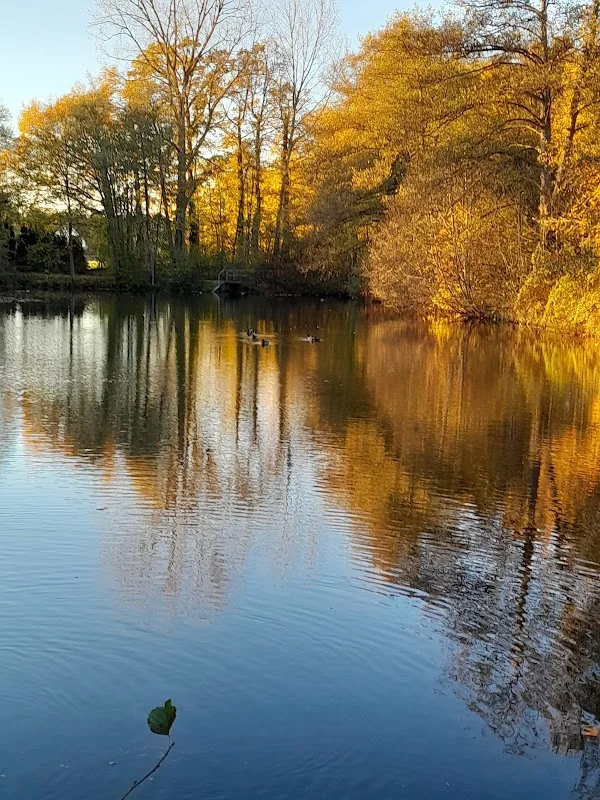 Event: Park, Kupferstraße