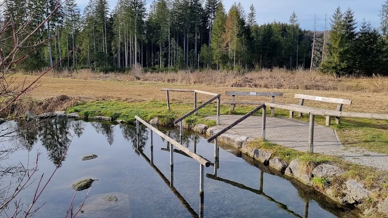 Event: Wassertretanlage