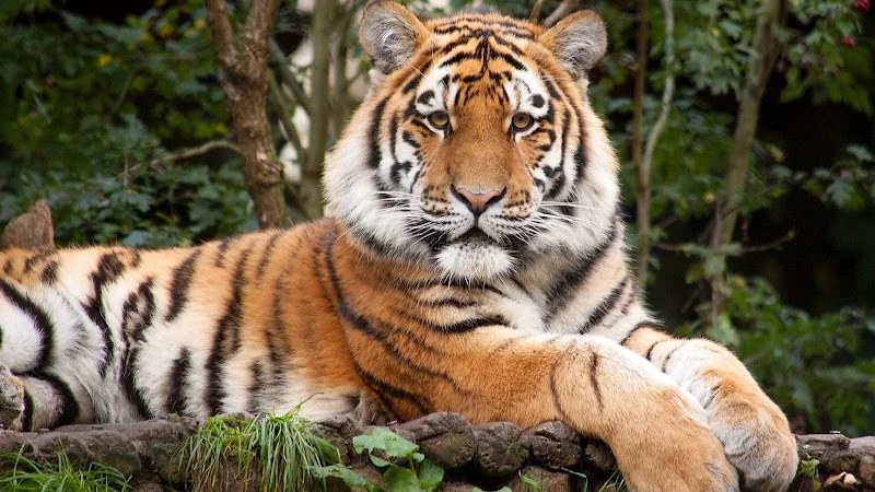 Allwetterzoo Münster