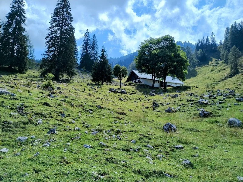 Event: Baumoosalm Oberaudorf