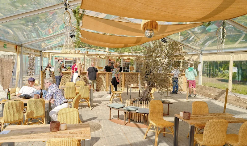 Event: Bikini Beach Bonn
