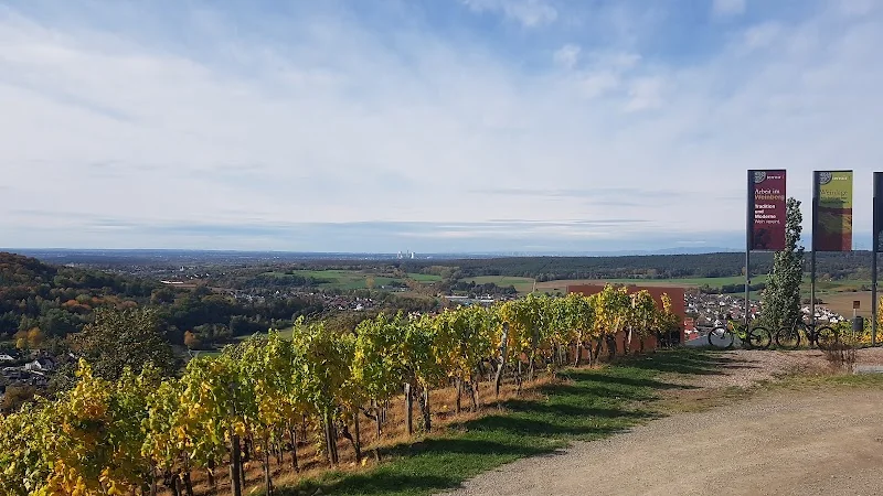terroir f Alzenau - Arbeiten im Weinberg