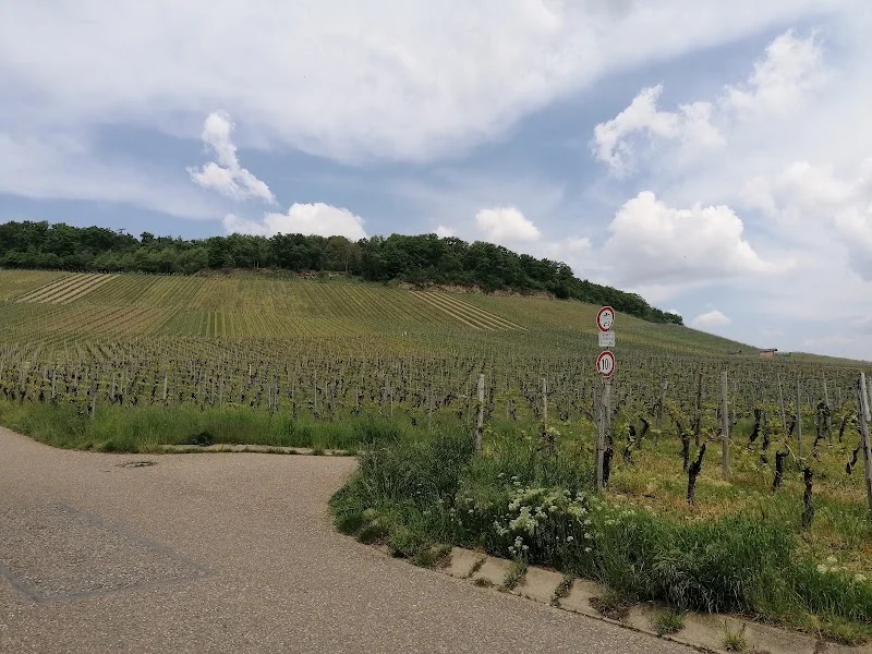 Parkplatz am Heuchelberg