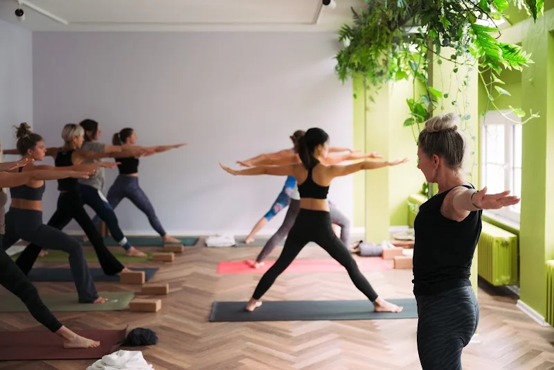 Event: The Vinyasa People Yoga Studio Bonn