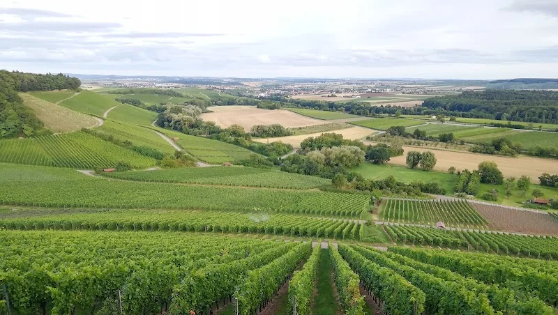 Weingärtner Stromberg-Zabergäu eG