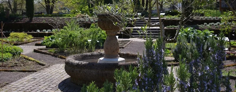 Luisenpark Heilpflanzengarten
