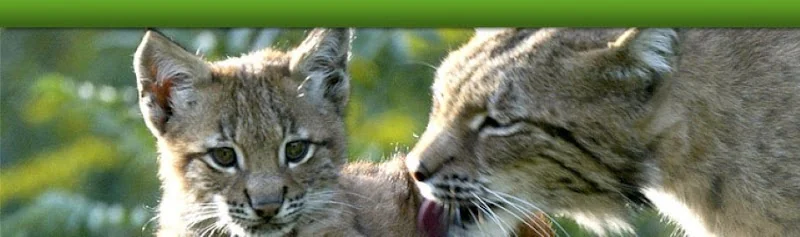 Event: Suhl Zoo