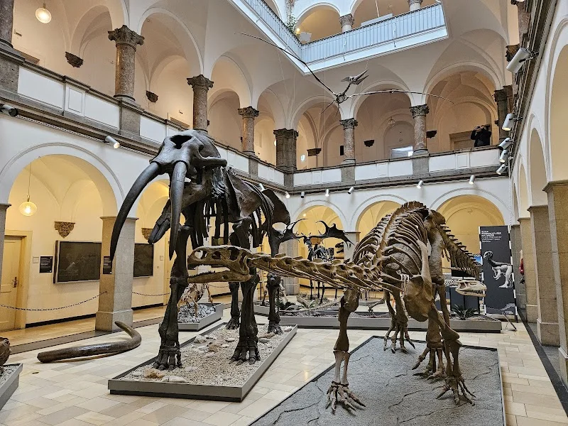 Event: Palaeontological Museum, Munich