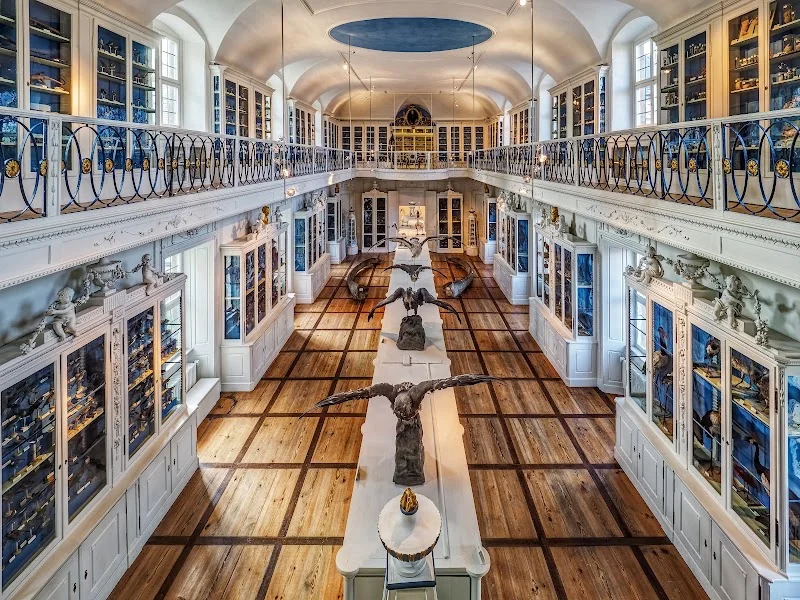 Event: Naturkundemuseum Bamberg