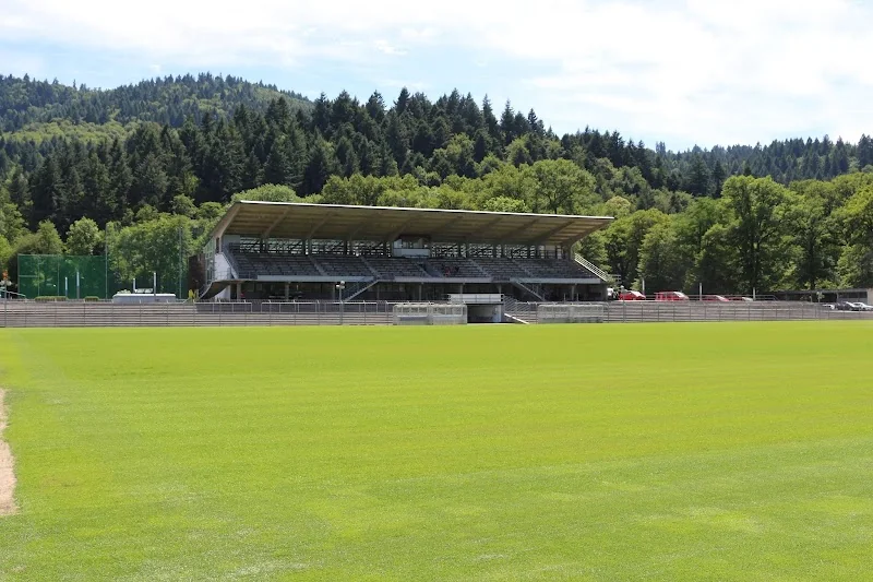Möslestadion
