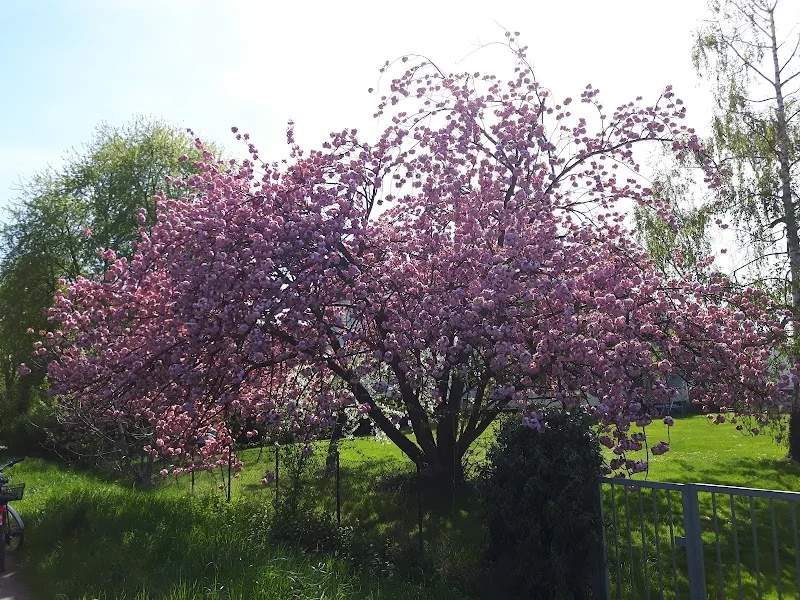 Event: NaturFreunde Bonn e.V. - Naturfreunde-Garten