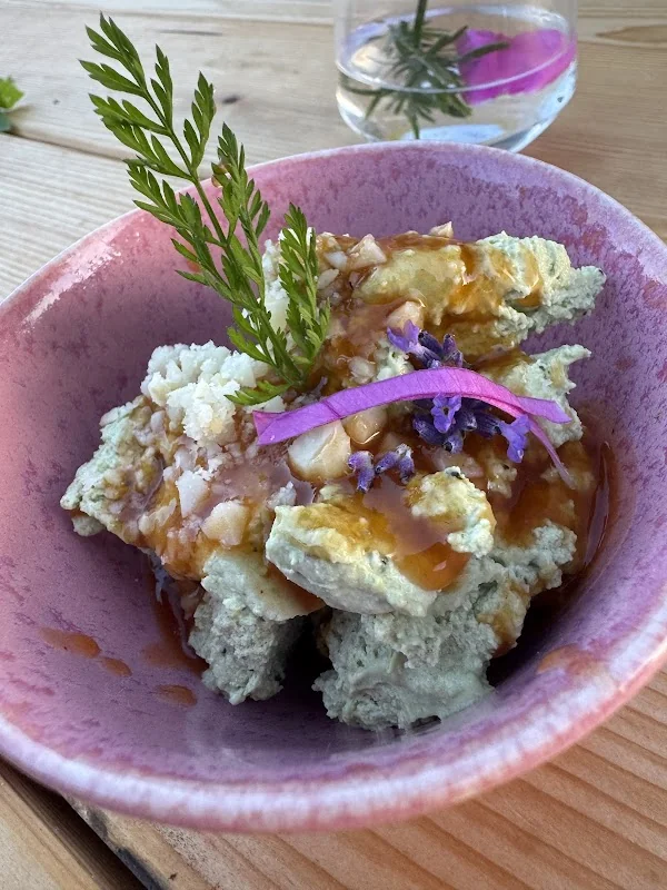 Event: TREFFPUNKT GRÜN