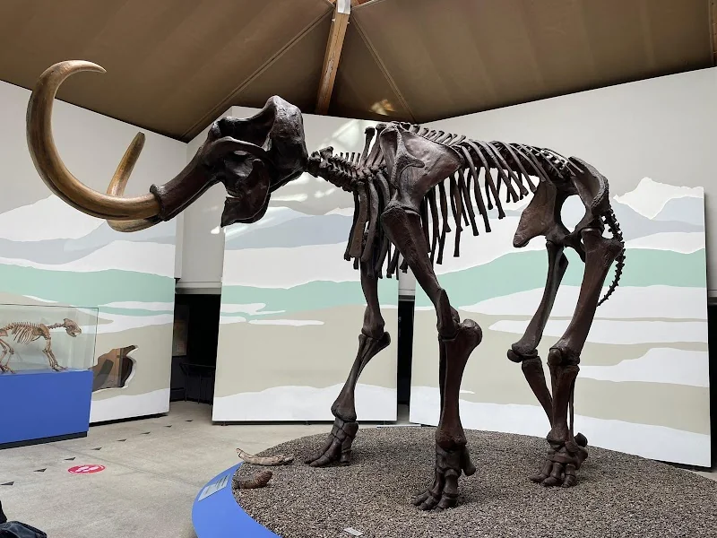 MammutMuseum Siegsdorf