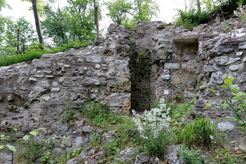 Event: Kocherburgruine