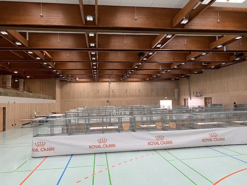 Event: Kultur und Sporthalle