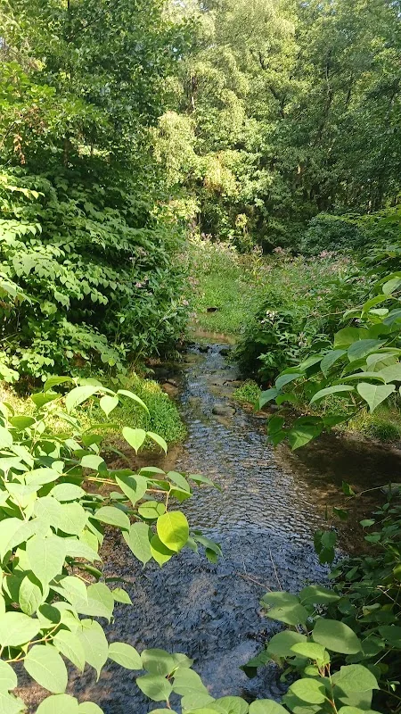 Menkhauser Bachtal