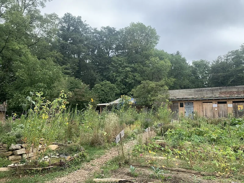Event: zusammen gärtnern: interkultureller, inklusiver Gemeinschaftsgarten