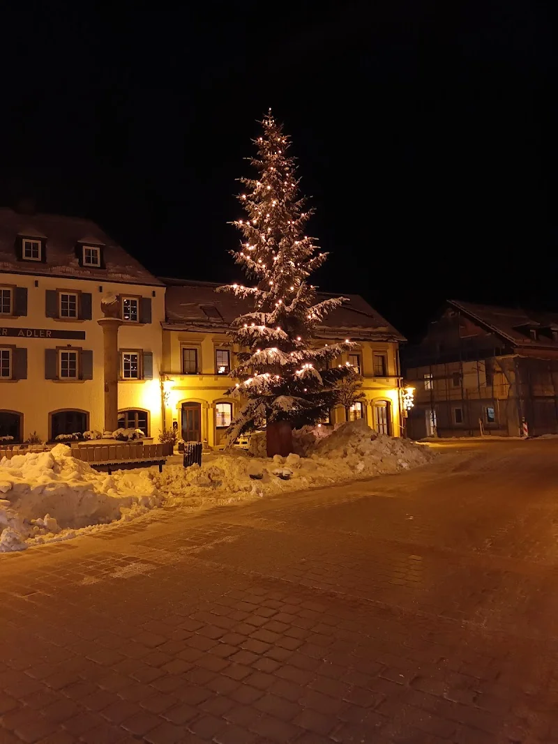 Ferienwohnungen Fritz Frosch