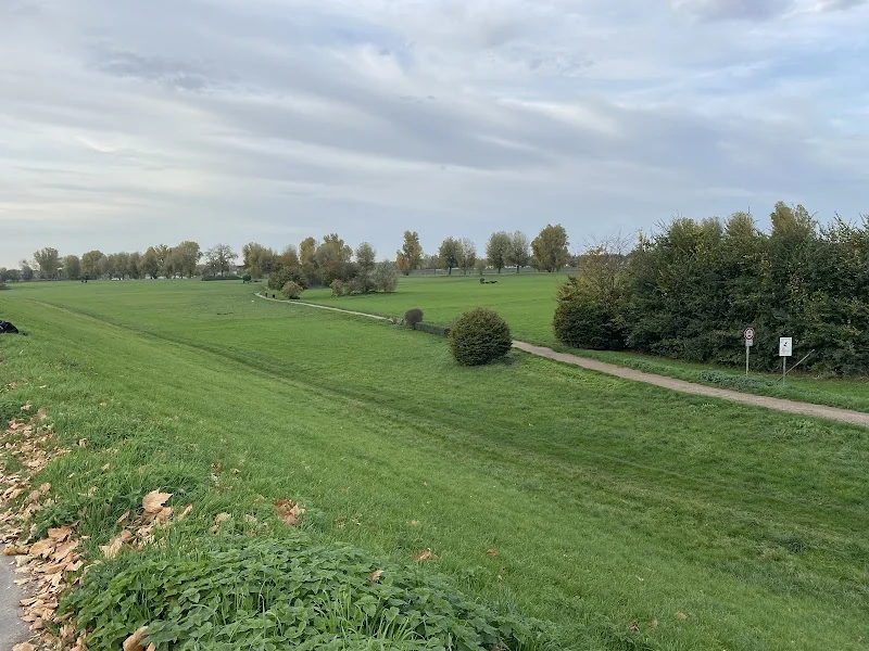 Rheinwiesen Düsseldorf Niederkassel