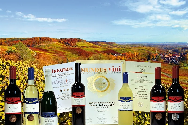 Weingut Anita Landesvatter