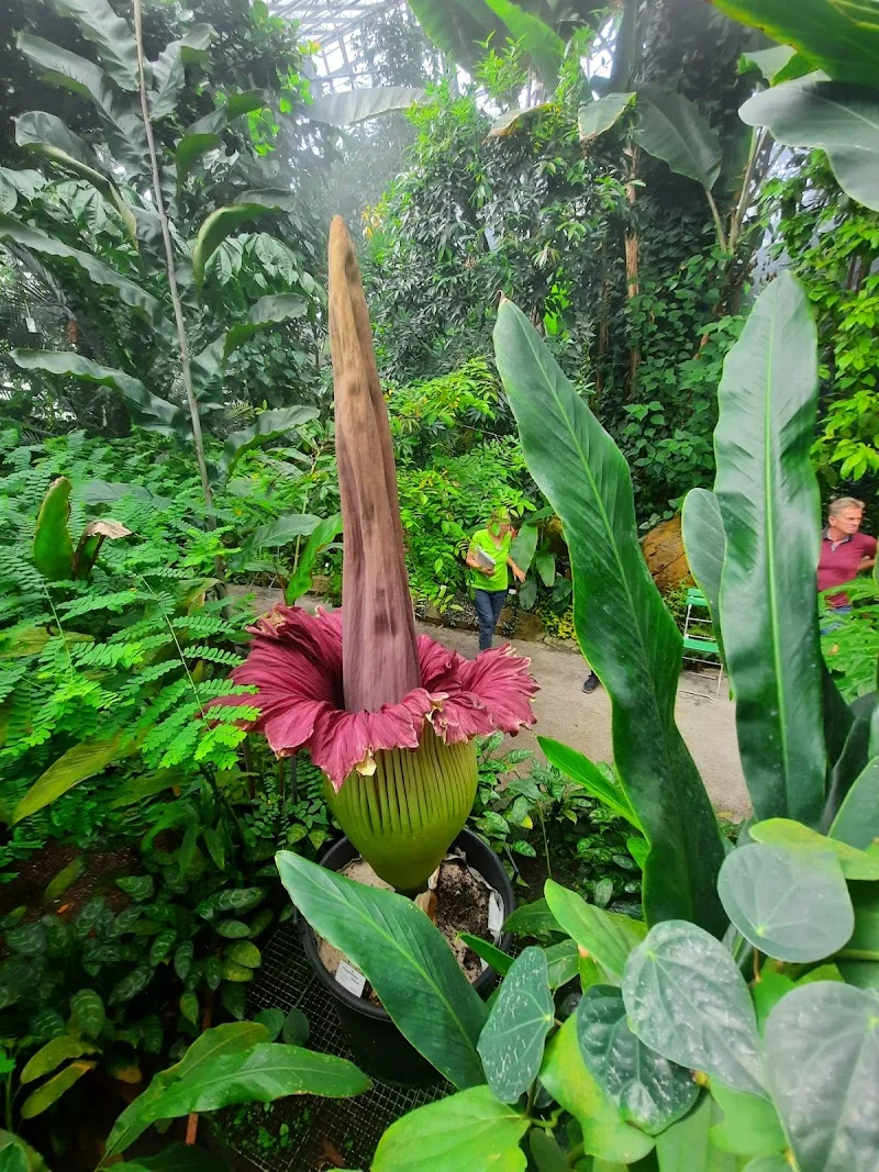 Event: Ecological Botanical Garden