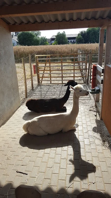 Hofladen und Alpaka-Hof Nester - - Erlebnisbauernhof - - Obst und Gemüsehandel - - Wild aus Eigener Jagd