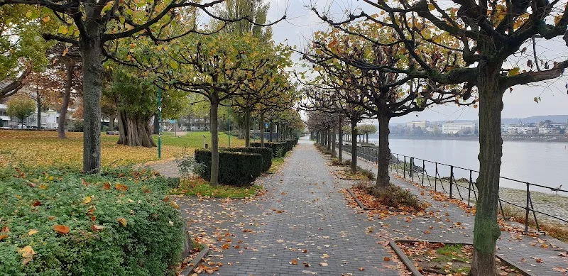 Event: Kennedybrücke