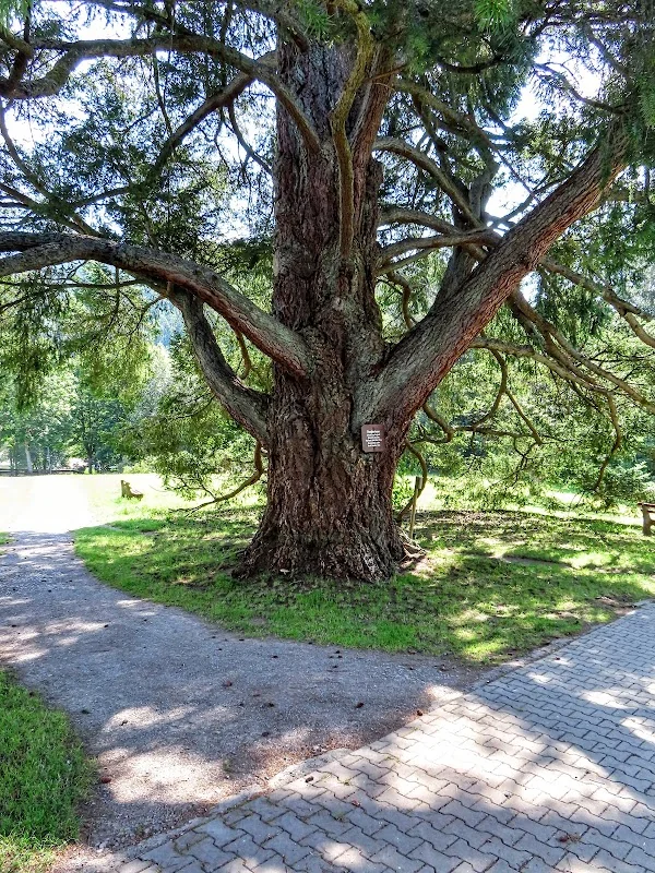 Kurpark