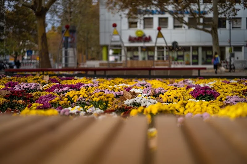 Dr.-Gisela-Thews-Platz