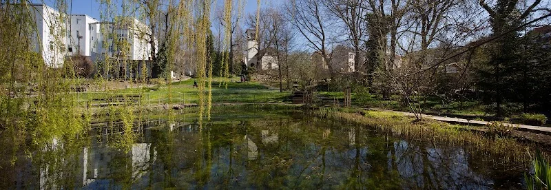 Botanischer Garten Gera