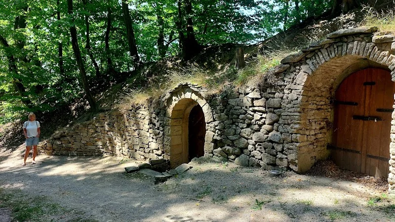 Historische Kellergasse/ Gambrinus Keller
