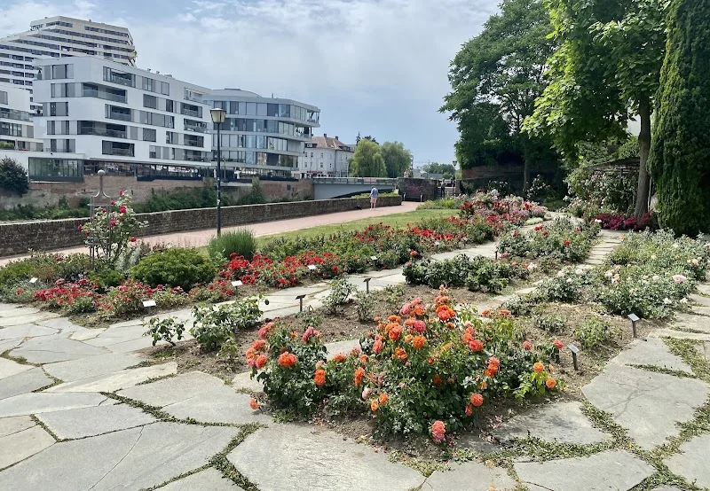 Event: Rosengarten, Ulm