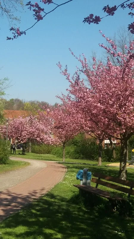 Event: Spandauer Allee