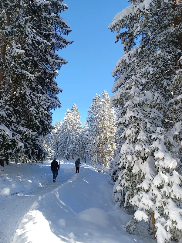 Event: Almhütte Aufstieg-Kramerplateauweg