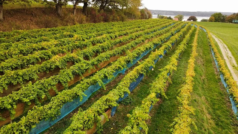 Event: Ammersee Winery