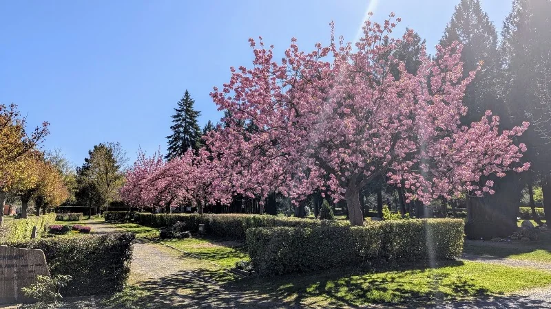 Zentralfriedhof Bonn