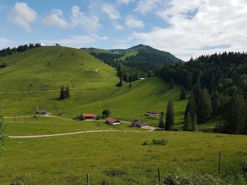 Himmelmoos
