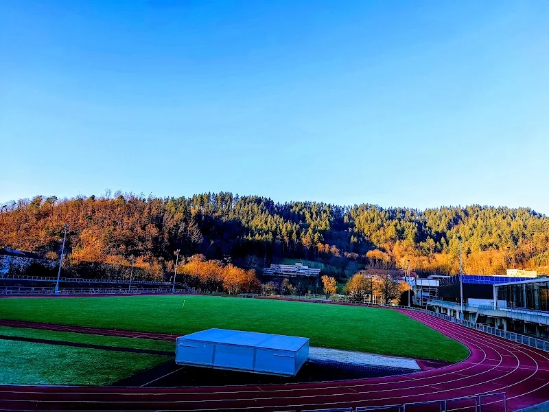 Institut für Sport und Sportwissenschaft der Albert-Ludwigs-Universität Freiburg