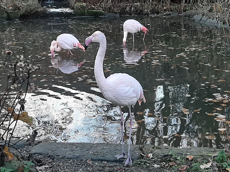 Event: Tierpark Röhrensee