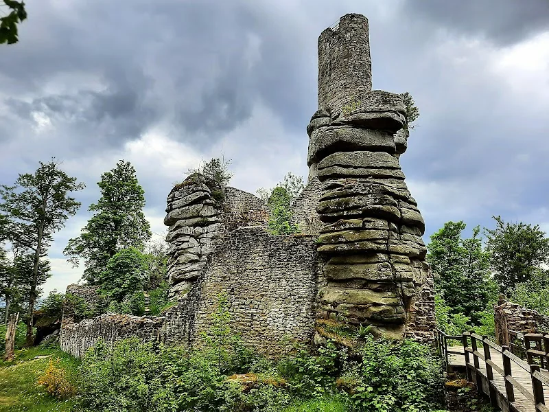 Event: Steinwald e.V. Nature Park