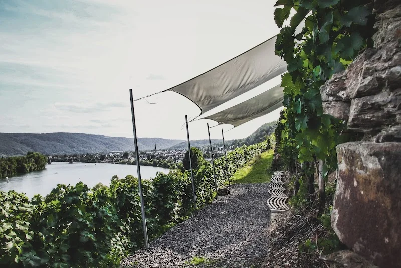 Event: Weingut Schwaab - Koblenz Weinerlebnis